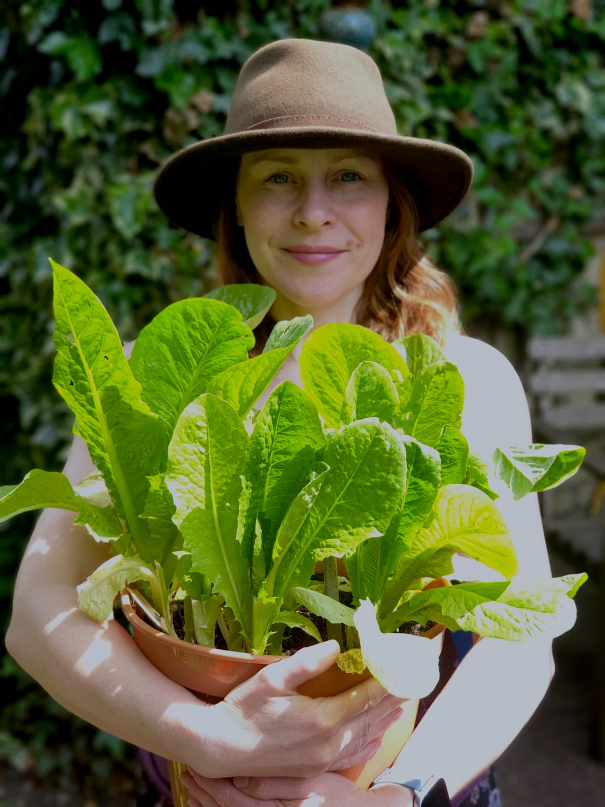 allotment alice fennel