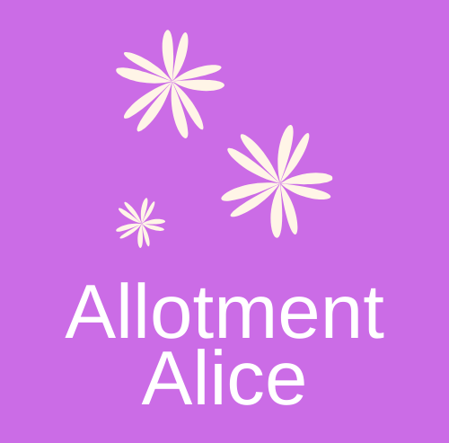Allotment Alice